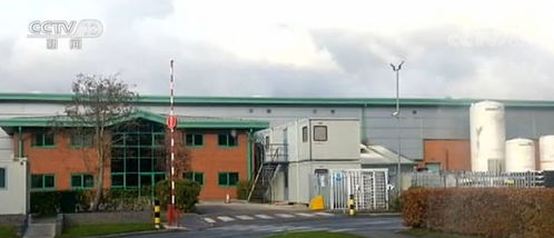 英國多家食品加工廠相繼暴發疫情，家禽產業遭遇嚴峻挑戰