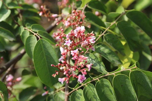 遇見陽(yáng)光 東區(qū)田園農(nóng)莊，一場(chǎng)與光的詩(shī)意對(duì)話