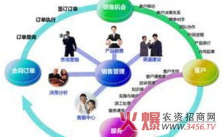 為客戶(hù)量身定做解決方案